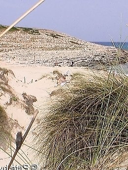 A mature woman feels like she is not being watched on a beach for nudists.